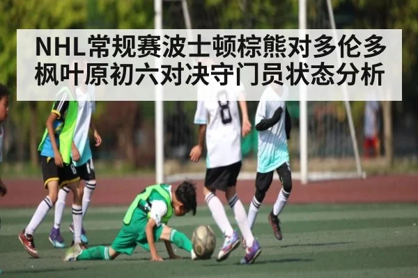 NHL常规赛波士顿棕熊对多伦多枫叶原初六对决守门员状态分析 | www.c7c7.app