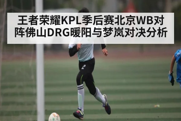 王者荣耀KPL季后赛北京WB对阵佛山DRG暖阳与梦岚对决分析 | c7c7.app